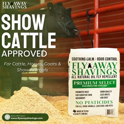 Show Cattle Approved