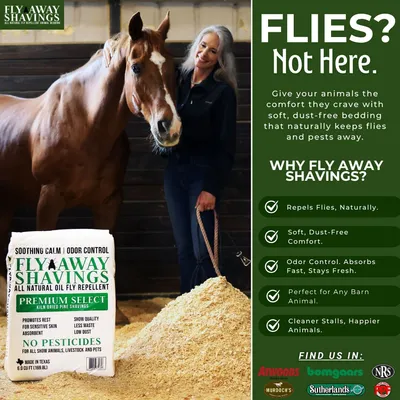 Flies Not Here Campaign