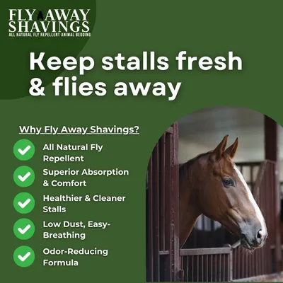 Keep Stalls Fresh Campaign