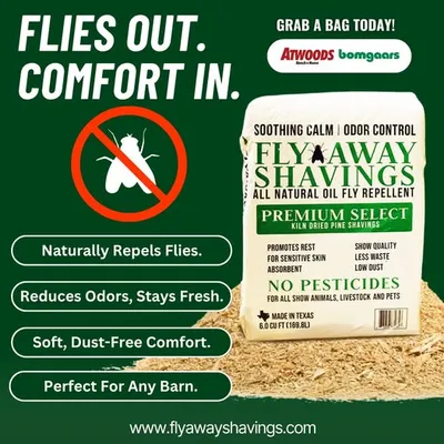 Flies Out, Comfort In